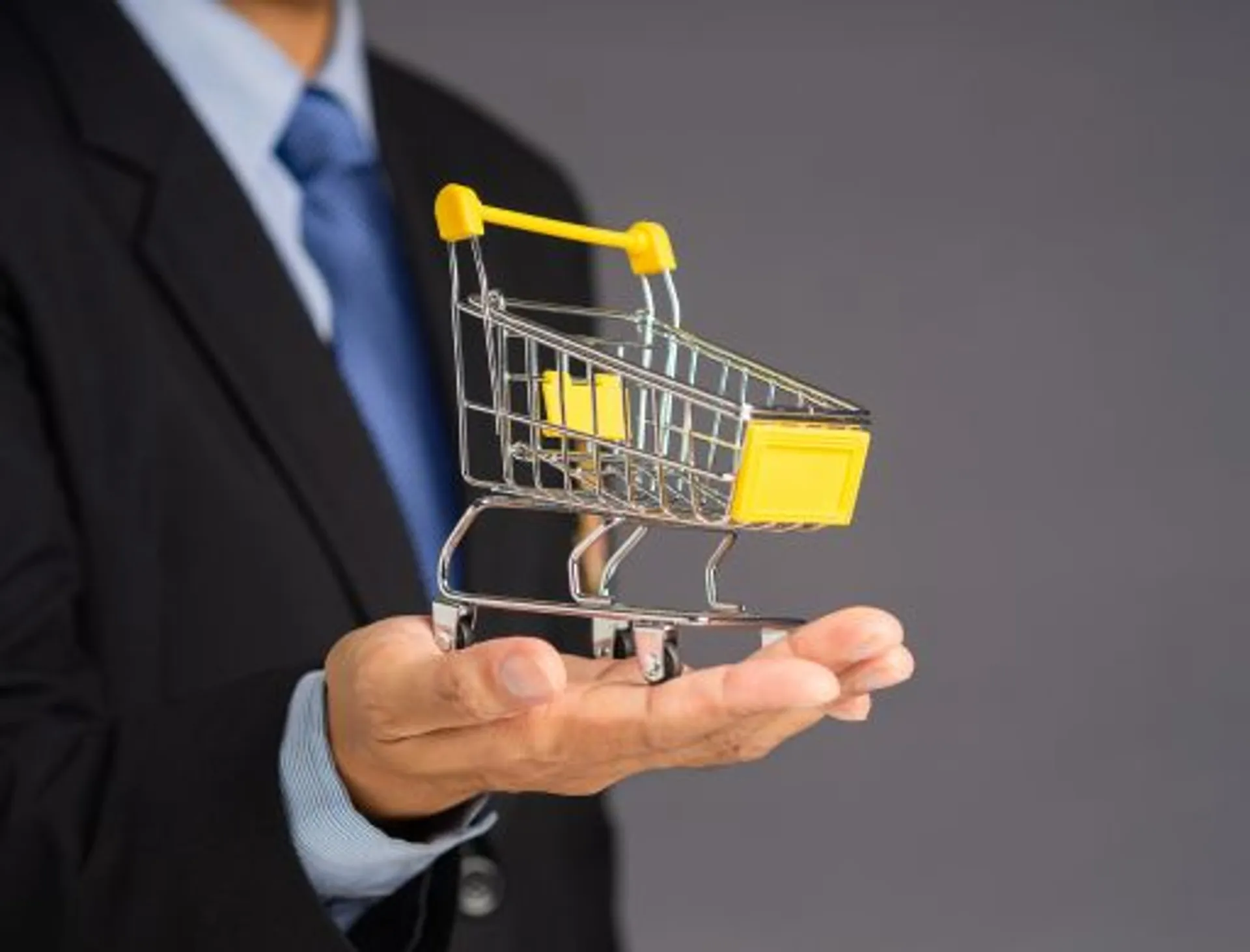 PPC Expert with Laptop