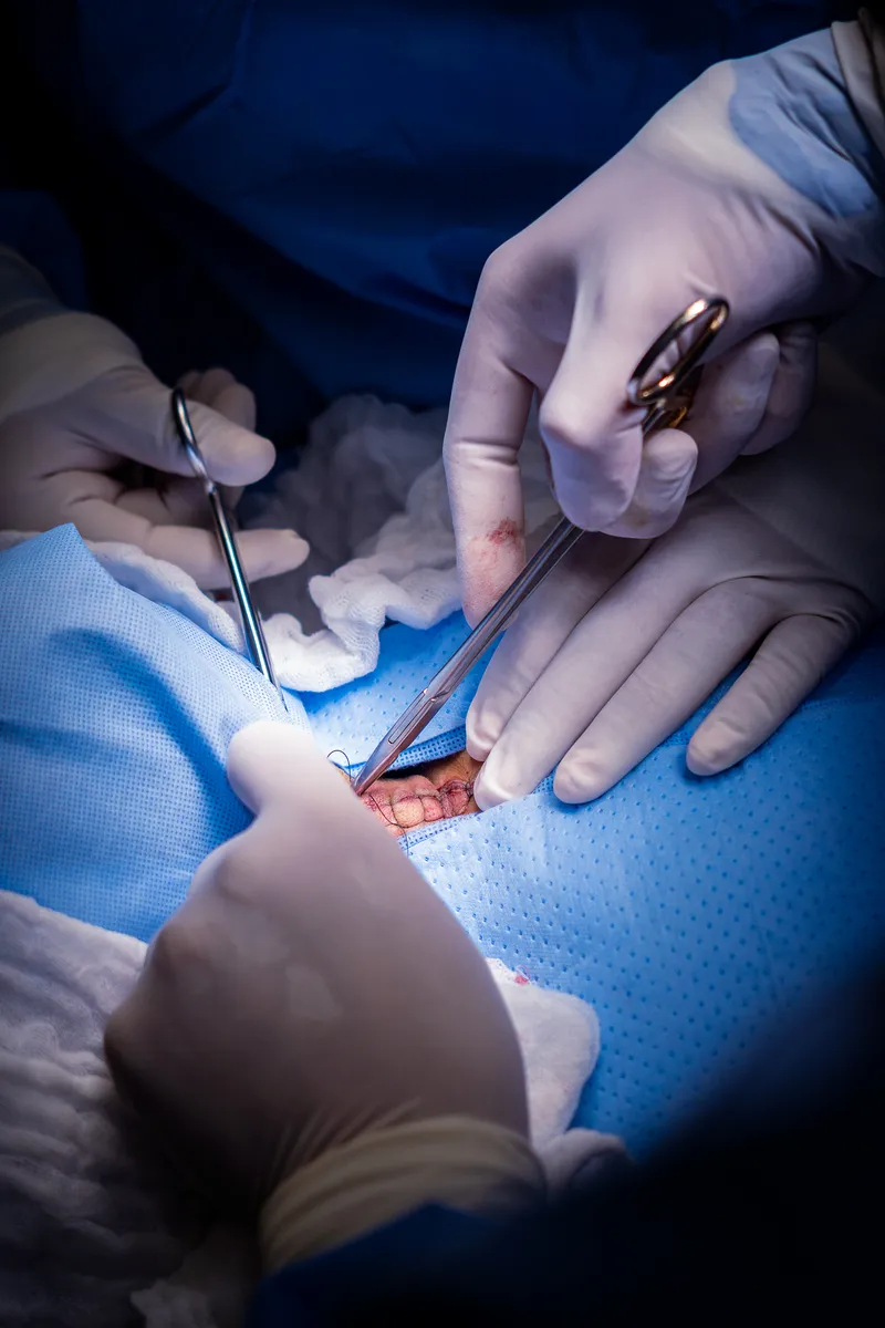 Fotografía del Dr. Demetrio Domínguez 2